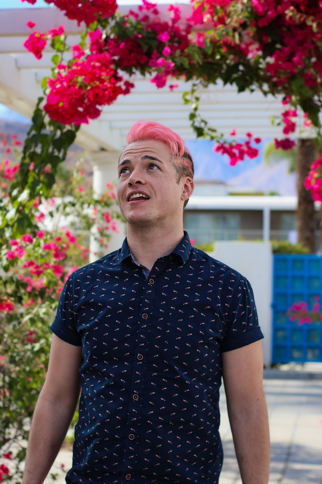 Brandon On Pink Flowers