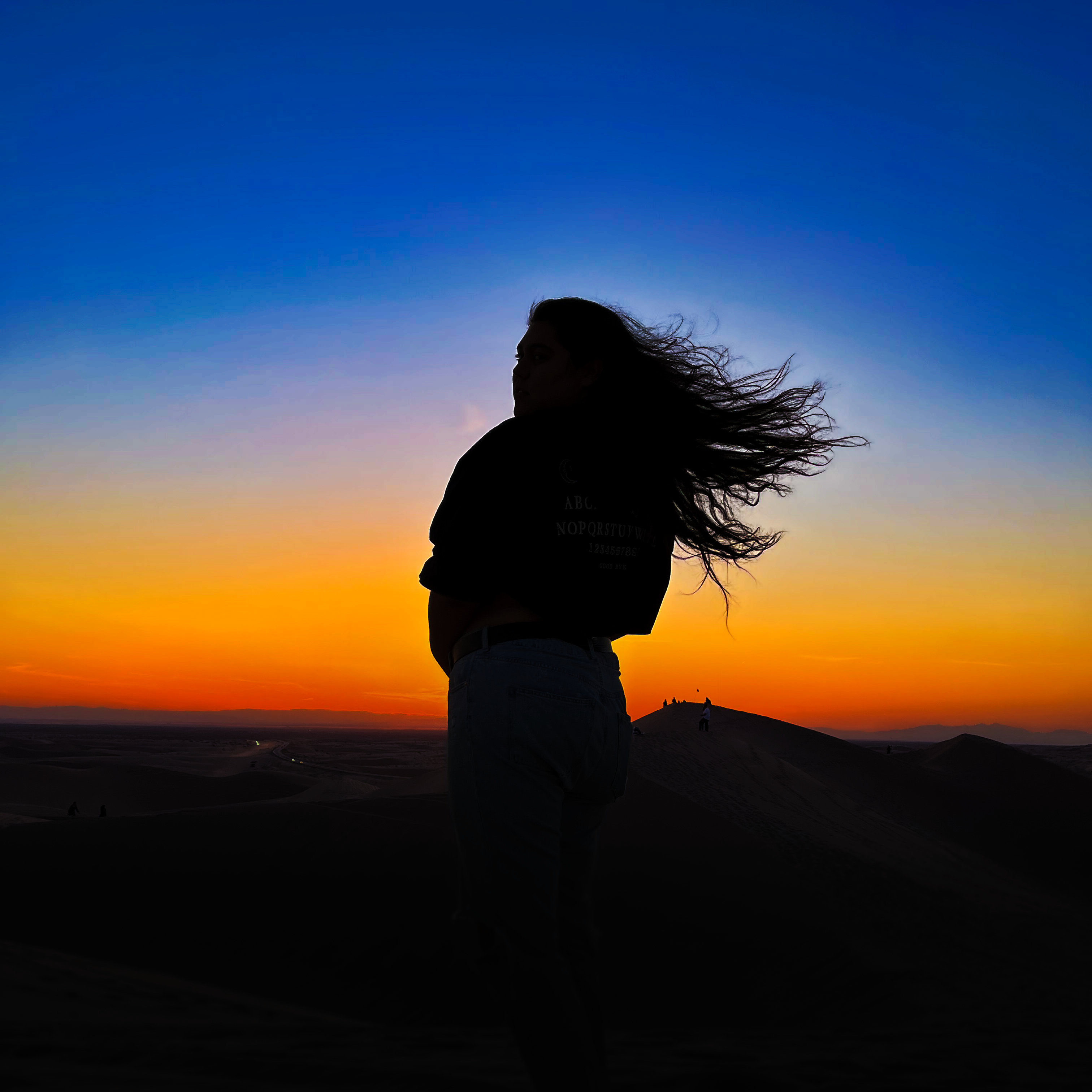 Hair In The Wind Sand Dunes Sunset