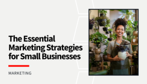 Read more about the article The Essential Marketing Strategies for Small Businesses